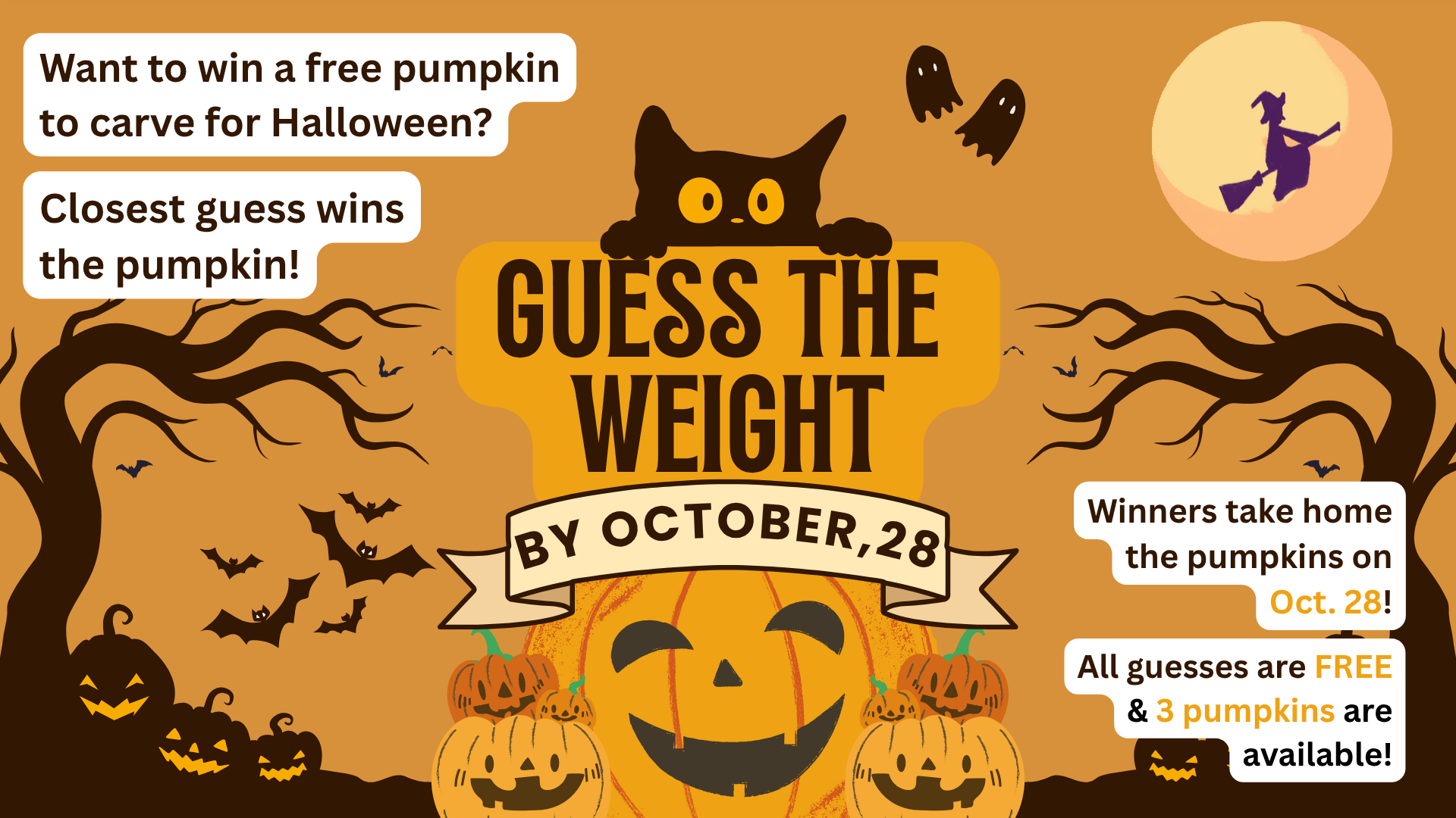Guess the Weight Pumpkin Contest!