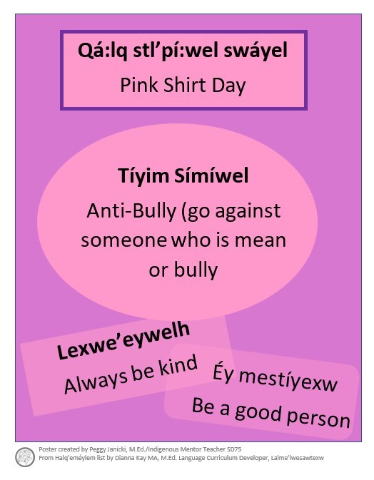 pink shirt day poster.jpg